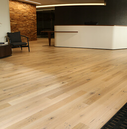 Wood Floor Surfaces